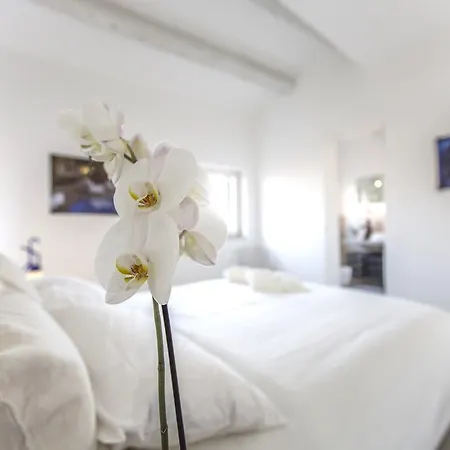 San Lorenzo Luxury Penthouse アパート *